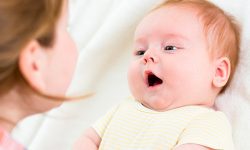 La lengua materna está mas relacionada a la emociones